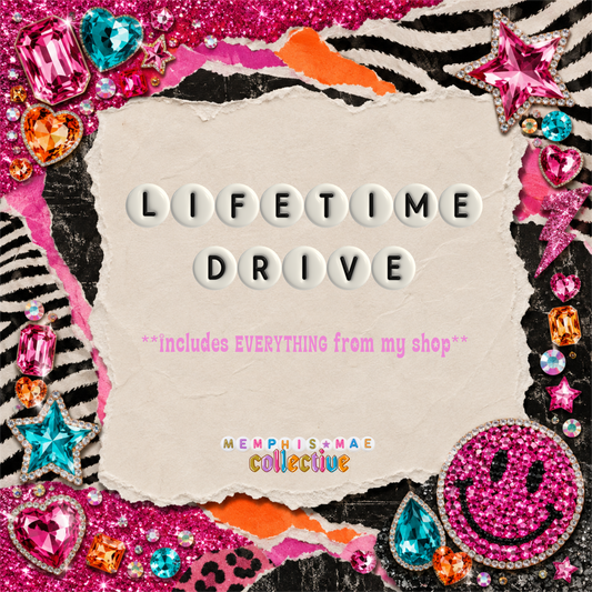 Lifetime Shop Drive